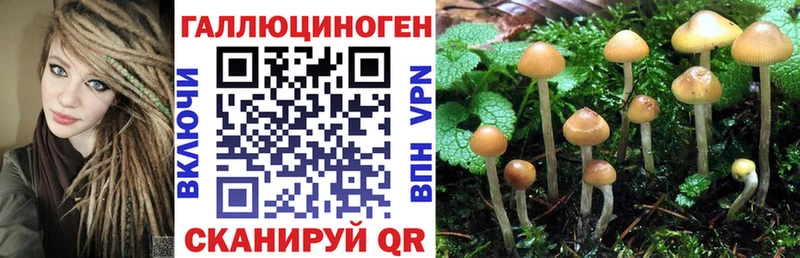 Купить где Кемь Галлюциногенные грибы мицелий