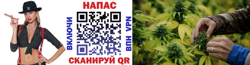 Купить Кемь Марихуана LSD WEED